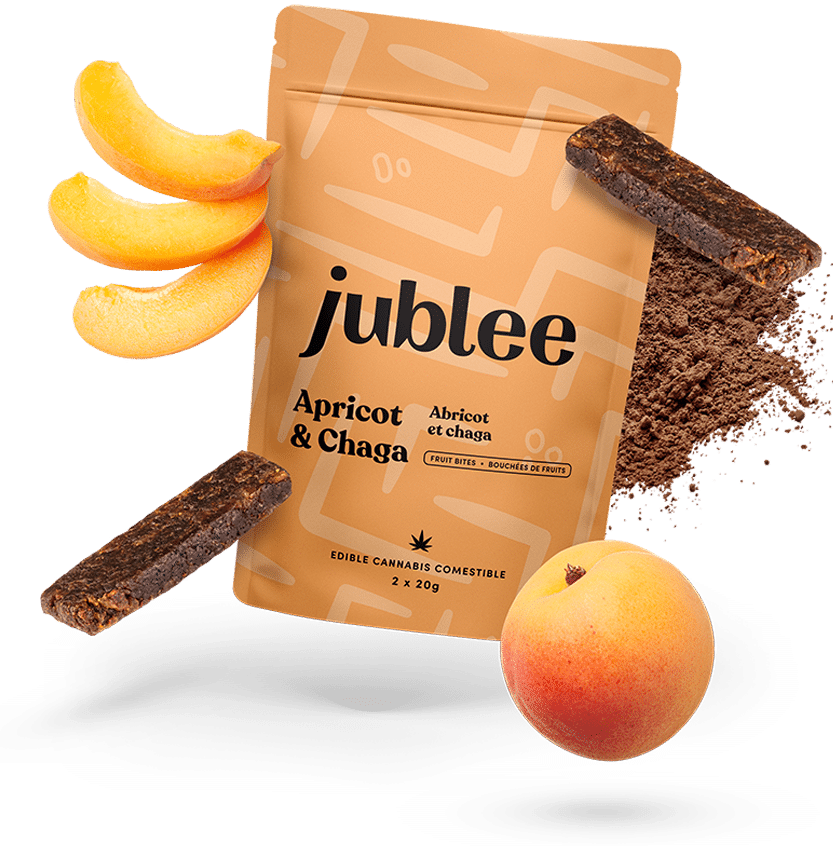 abricot-chaga-product